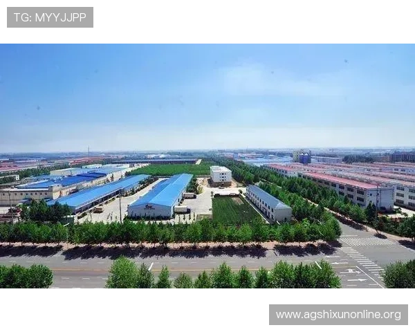 通过PA厅官网关注行业发展趋势，掌握最新政策导向和未来规划布局